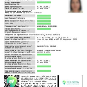 Russia electronic visa notification for citizens of eligible countries