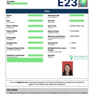 Apply for the E23 Employment Visa for Indonesia — an offshore entry visa for foreign employees planning to work legally in Indonesia.