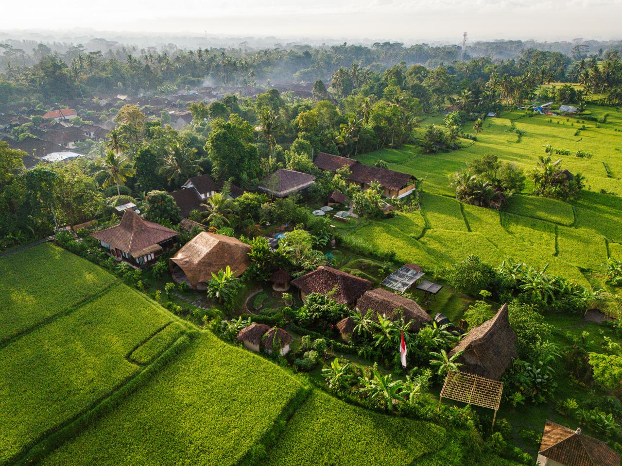 Empathy School Bali learning activity